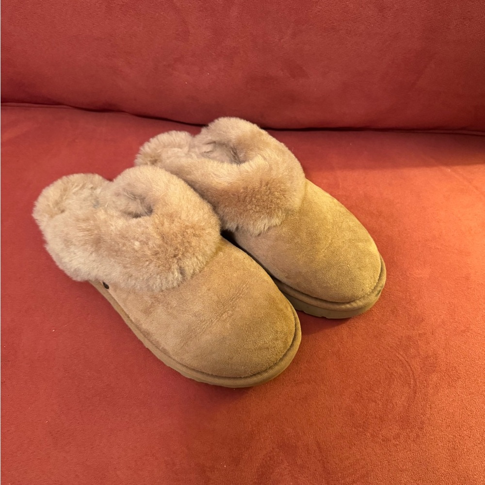 Cozy Tan Fur-Lined Uggs Slippers
